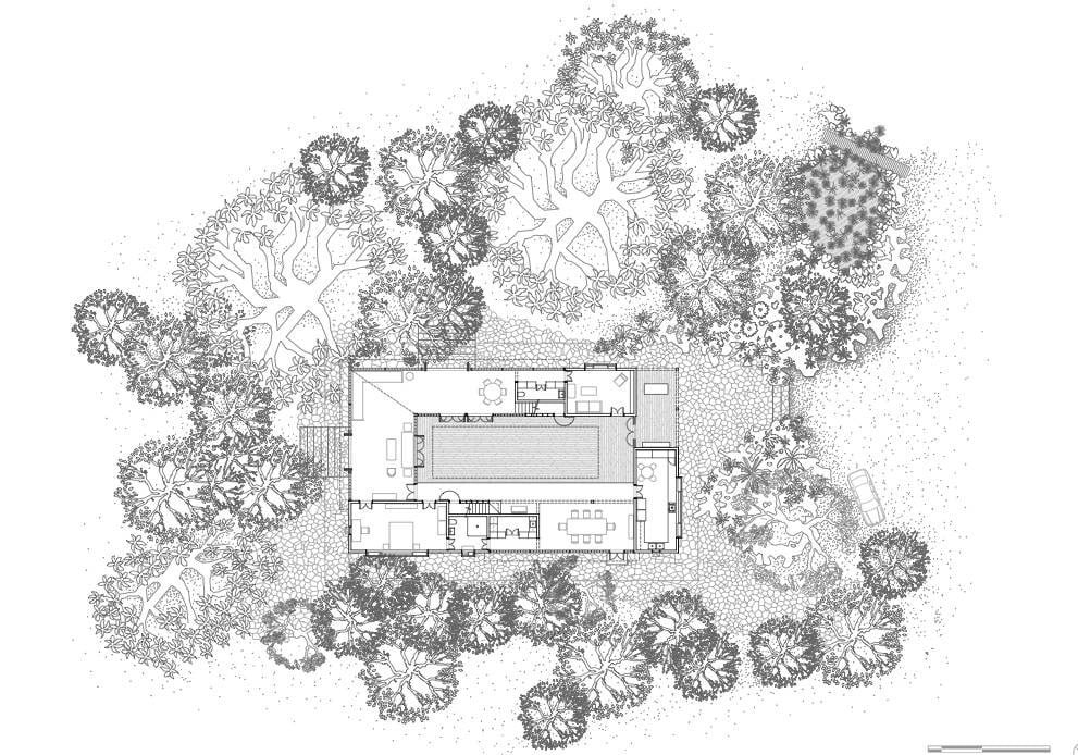 Planta con mobiliario y patio